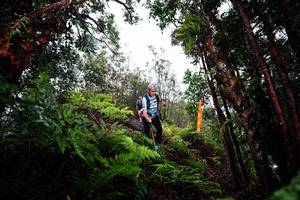 BIB: 
                            <button type="button" onclick="openModal(26204841)" class="btn btn-primary btn-sm float-right btn-popup" data-toggle="modal" data-target=".modal-high-quality">
                        <i class="fas fa-shopping-cart"></i> Add to Cart
                    </button>
                                            <button type="button" onclick="isThisMe(26204841, true)" class="btn btn-success btn-sm float-right btn-popup btn-isme hidden" data-toggle="tooltip" data-placement="bottom" title="นี่คือรูปของคุณใช่ไหม คลิกที่นี่เพื่อเอาเข้าอัลบั้ม">
                        <i class="fas fa-plus"></i> Add to album
                    </button>
                    <button type="button" onclick="isThisMe(26204841, false)" class="btn btn-warning btn-sm float-right btn-popup btn-isnotme hidden">
                        <i class="fas fa-ban"></i> Remove from album
                    </button>